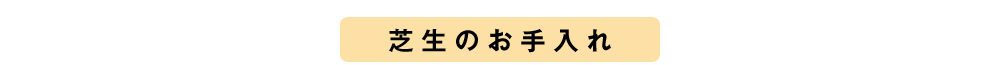 芝生のお手入れ